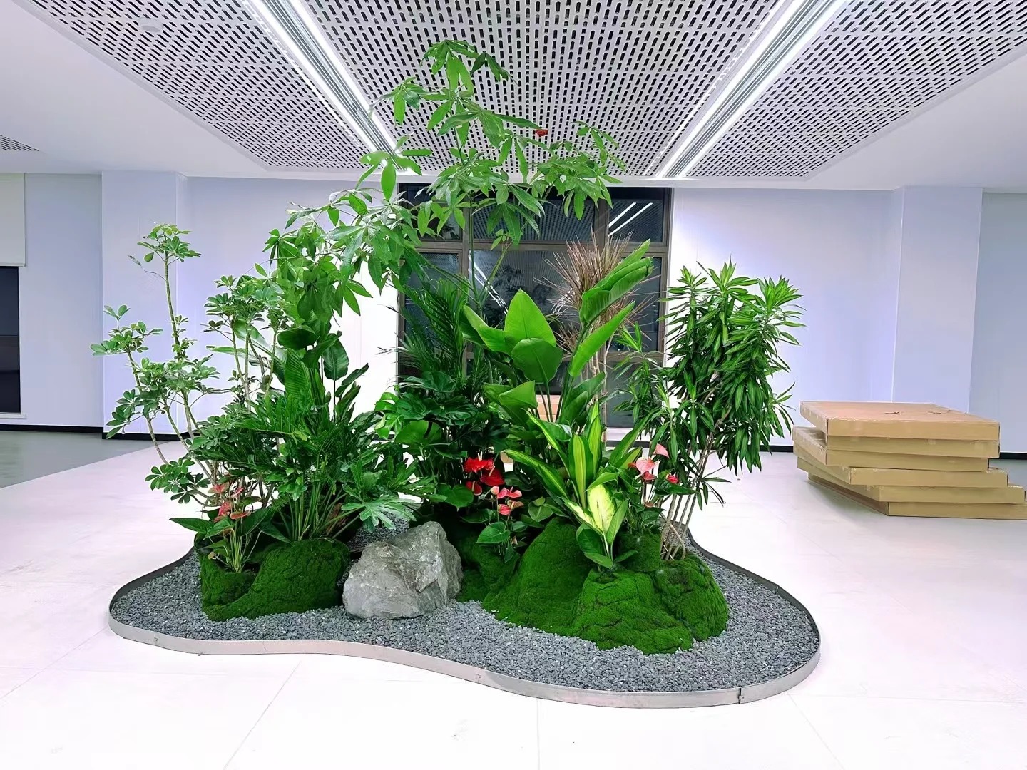 专业铸就品质,海曙绿植租摆的魅力你不可错过